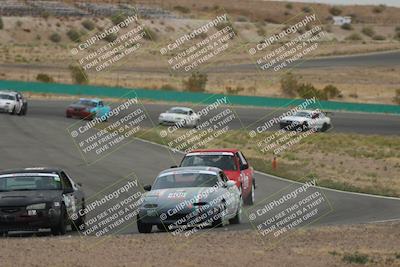 media/May-03-2025-Lucky Dog Racing (Sat) [[206de64b9d]]/Turn 2 (1020am-1120am)/